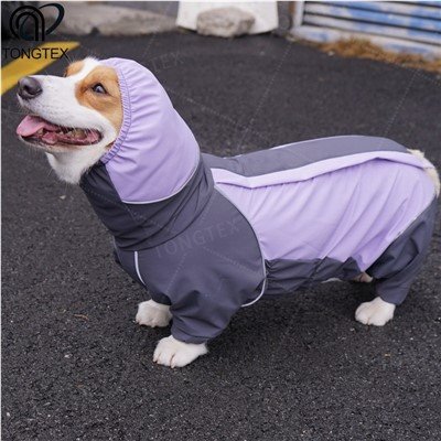 Sweat-shirt athlétique pour chien