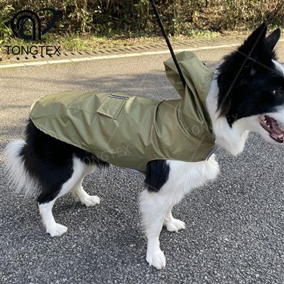 Imperméable d'alpinisme pour chien